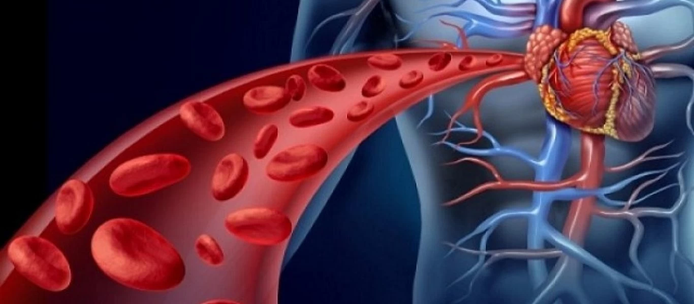 Αυτές είναι οι 10 καλύτερες τροφές που καθαρίζουν τις αρτηρίες από την χοληστερόλη